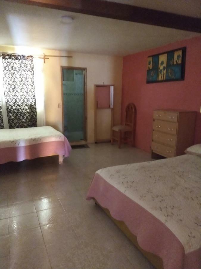 El Paraiso De Zacatlan Departamento Con Jardin, 11 Pax Экстерьер фото