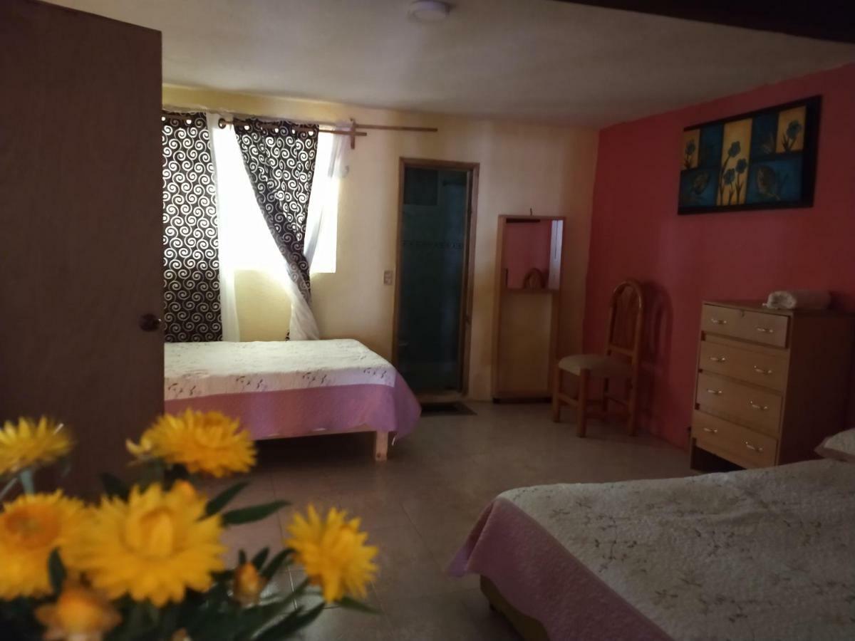 El Paraiso De Zacatlan Departamento Con Jardin, 11 Pax Экстерьер фото